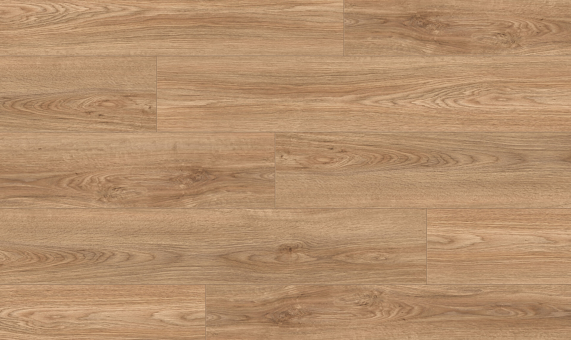 Washington_12032049_Dekor