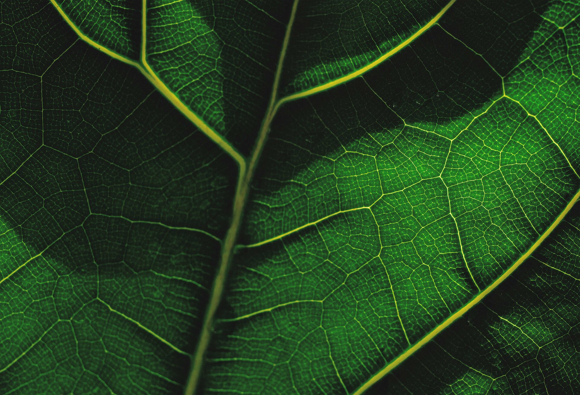 Teaser_Nachhaltigkeitsbericht Teaser_Nachhaltigkeitsbericht