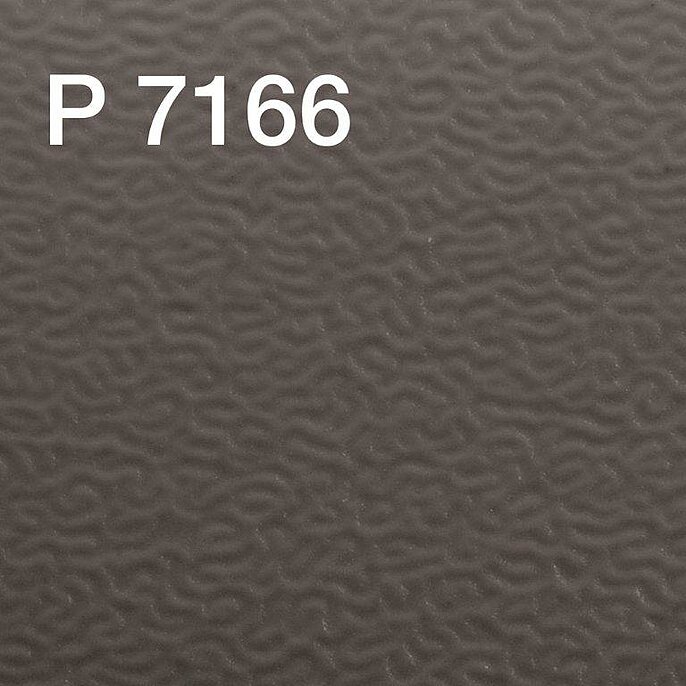 praegung_P-7166 praegung_P-7166