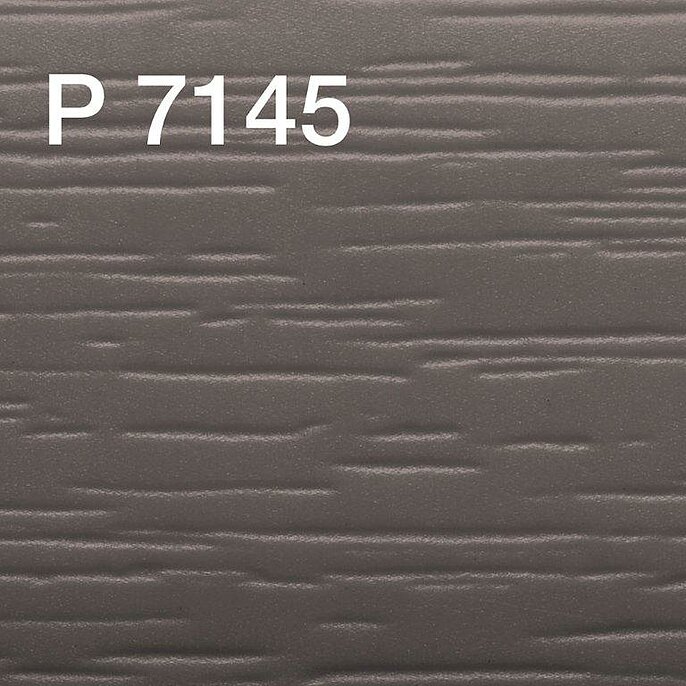 praegung_p_7145 praegung_p_7145