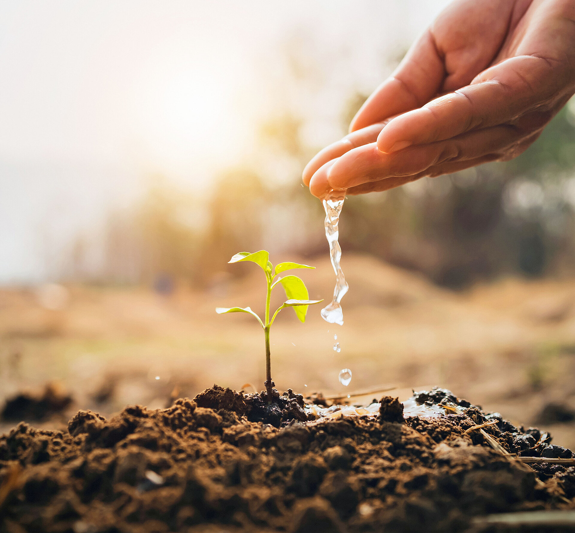 Teaser_OEkologie_01 Teaser_OEkologie_01