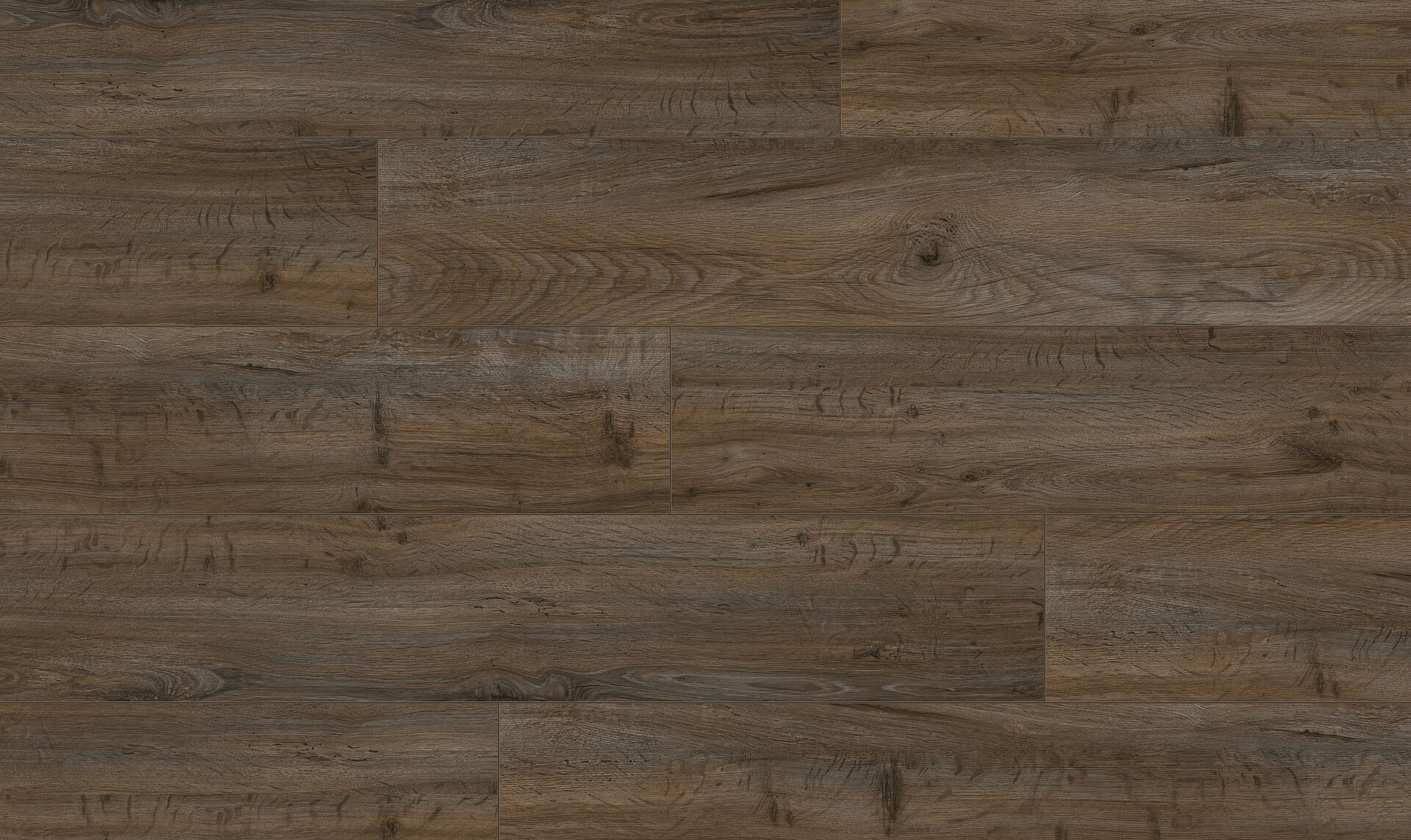 Florida_12032228_Dekor