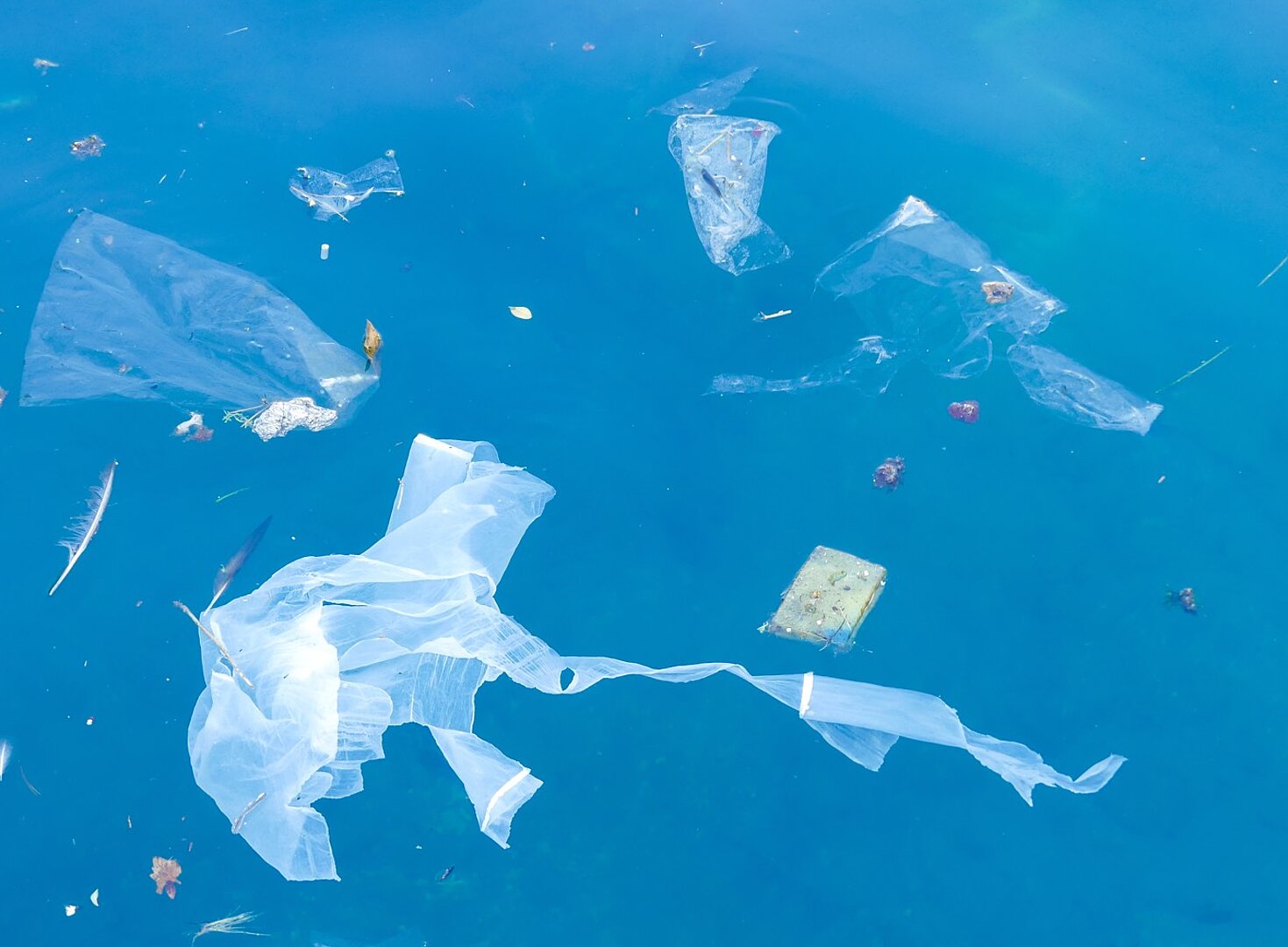 teaser-story-altneu teaser-story-altneu