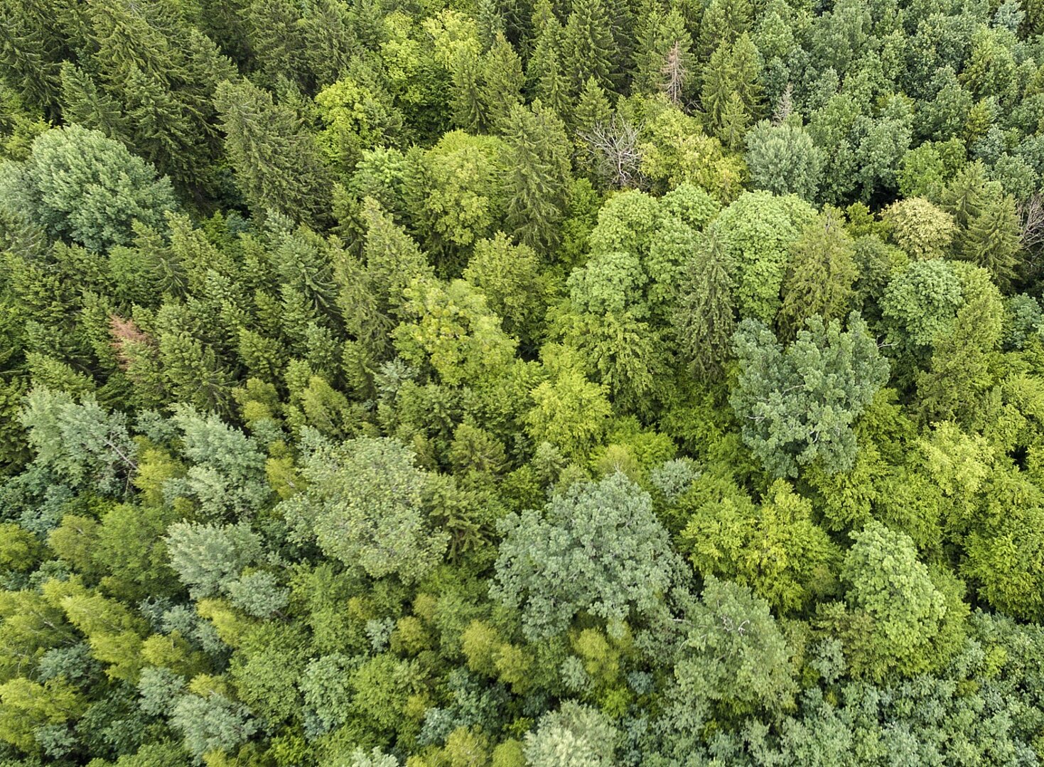 teaser-story-belarusf_-_Kopie