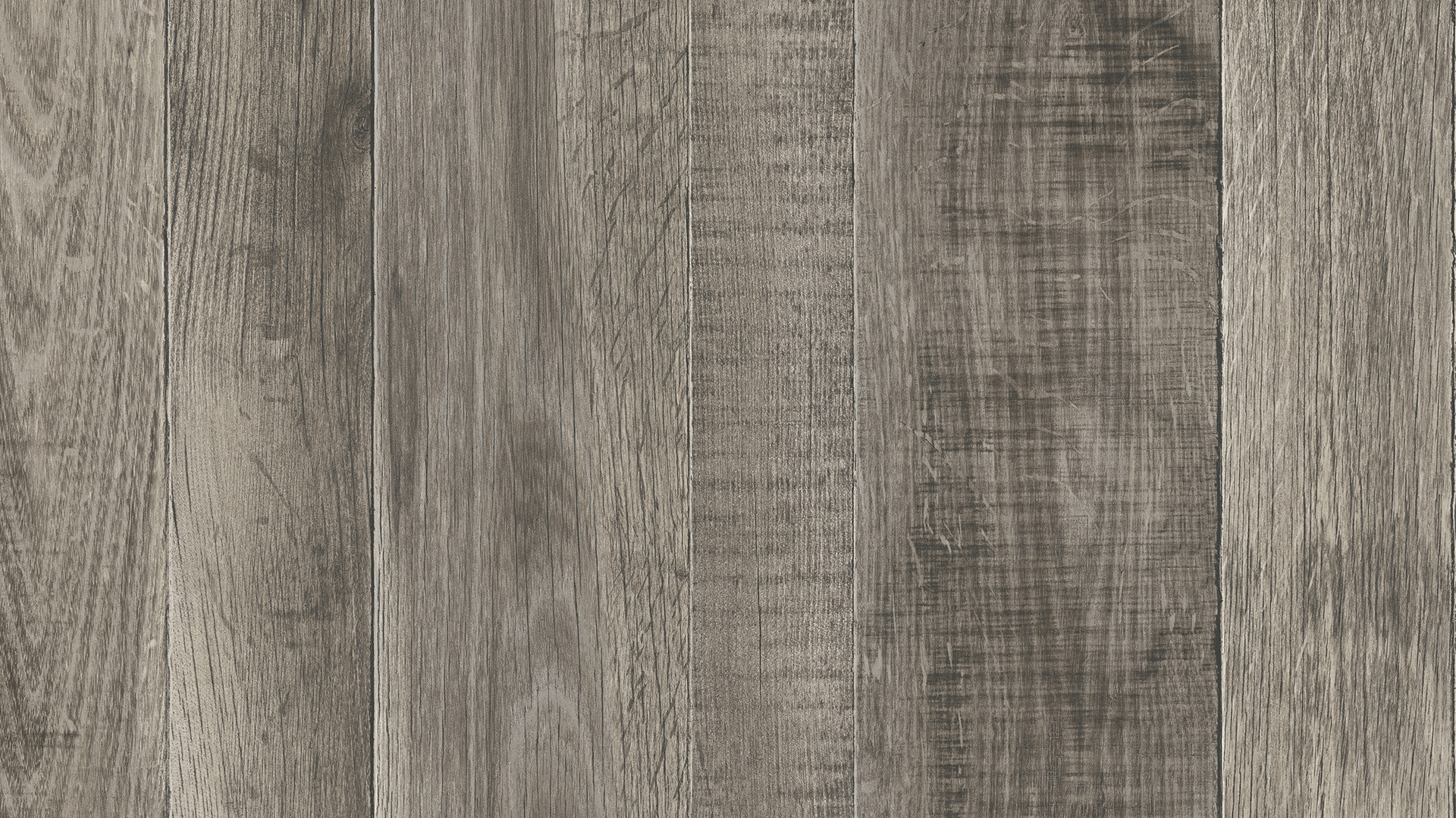 4_Sunny_Wood_12033028_1920x1080px 4_Sunny_Wood_12033028_1920x1080px
