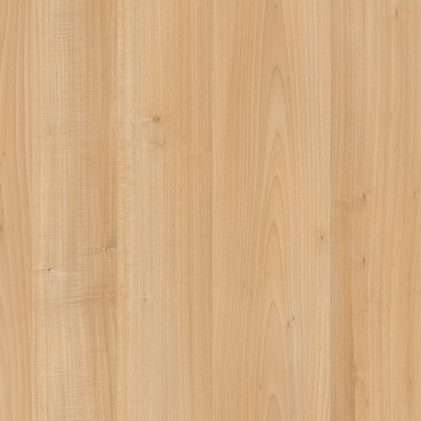 Linn_12027788_50x50 Linn_12027788_50x50